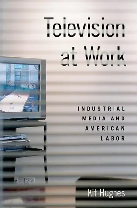 Hughes |  Television at Work | Buch |  Sack Fachmedien