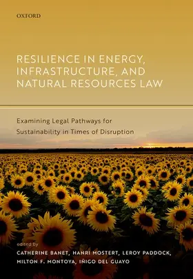 Banet / Mostert / Paddock | Resilience in Energy, Infrastructure, and Natural Resources Law | Buch | 978-0-19-286457-4 | sack.de
