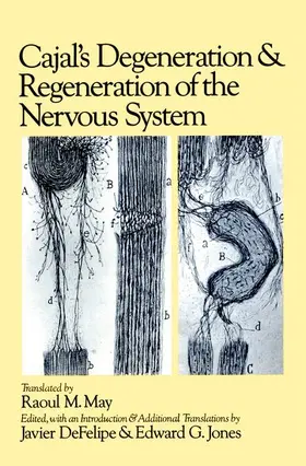 Cajal / DeFelipe / Jones |  CAJAL'S DEGENERATION HN C | Buch |  Sack Fachmedien