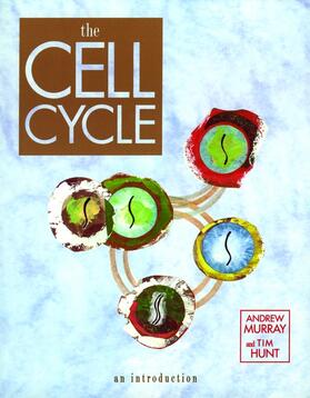 Murray / Hunt |  The Cell Cycle: An Introduction | Buch |  Sack Fachmedien