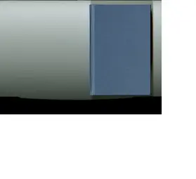 Clinton |  Southern Families at War | Buch |  Sack Fachmedien