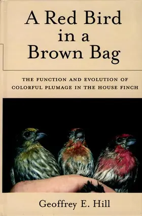 Hill |  A Red Bird in a Brown Bag | Buch |  Sack Fachmedien