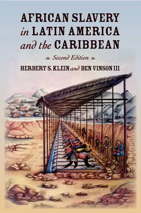 Klein / Vinson |  African Slavery in Latin America and the Caribbean | Buch |  Sack Fachmedien