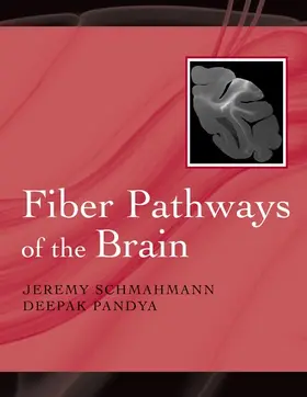 Schmahmann / Pandya | Fiber Pathways of the Brain | Buch | 978-0-19-538826-8 | sack.de