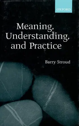 Stroud |  Meaning, Understanding, and Practice | Buch |  Sack Fachmedien