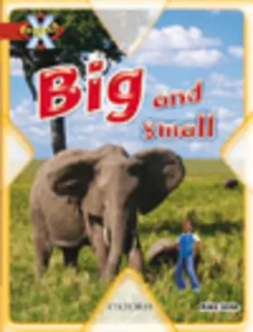 Lane |  Project X: Big and Small: Big and Small | Buch |  Sack Fachmedien