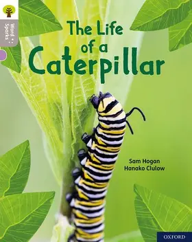 Hogan |  Oxford Reading Tree Word Sparks: Level 1: The Life of a Caterpillar | Buch |  Sack Fachmedien