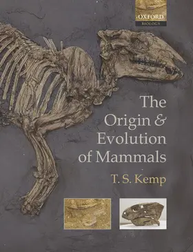 Kemp |  The Origin and Evolution of Mammals | Buch |  Sack Fachmedien