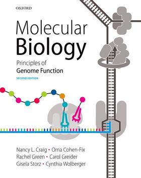 Craig / Green / Greider |  Molecular Biology: Principles of Genome Function | Buch |  Sack Fachmedien
