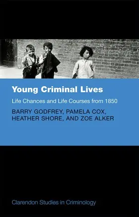 Al / Godfrey / Cox |  YOUNG CRIMINAL LIVES CSC | Buch |  Sack Fachmedien