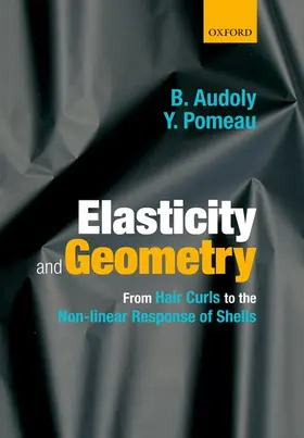 Audoly / Pomeau |  Elasticity and Geometry | Buch |  Sack Fachmedien