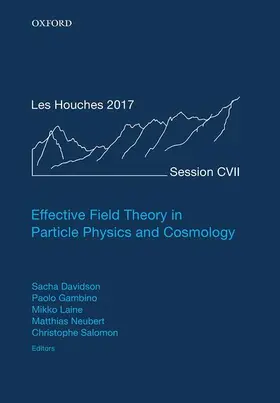Davidson / Gambino / Laine |  Effective Field Theory in Particle Physics and Cosmology | Buch |  Sack Fachmedien