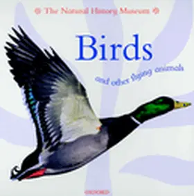 Taylor |  Birds And Other Flying Animals | Buch |  Sack Fachmedien