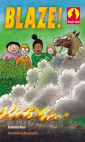 Hunt |  Blaze! | Buch |  Sack Fachmedien