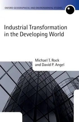 Rock / Angel |  Industrial Transformation in the Developing World | Buch |  Sack Fachmedien