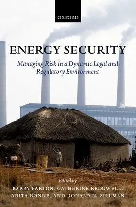 Barton / Redgwell / Ronne |  Energy Security | Buch |  Sack Fachmedien
