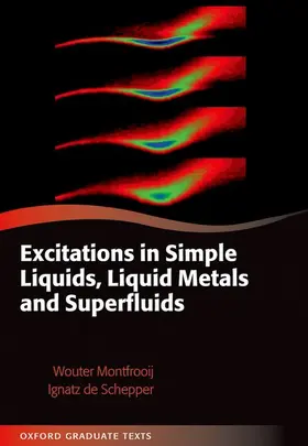 Montfrooij / de Schepper |  EXCITAT SIMPLE LIQ METAL SUPERFLU OGT C | Buch |  Sack Fachmedien