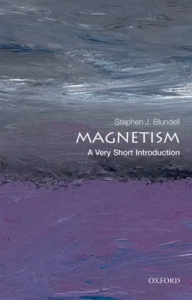 Blundell |  Magnetism | Buch |  Sack Fachmedien