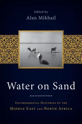 Mikhail | Water on Sand | Buch | 978-0-19-976867-7 | www2.sack.de