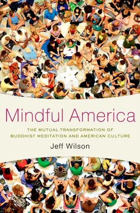 Wilson |  Mindful America | Buch |  Sack Fachmedien