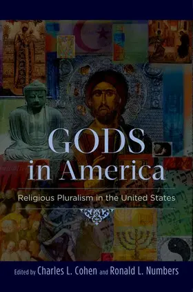 Cohen / Numbers |  Gods in America | Buch |  Sack Fachmedien