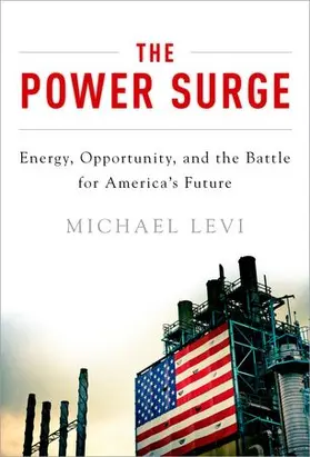 Levi |  The Power Surge | Buch |  Sack Fachmedien