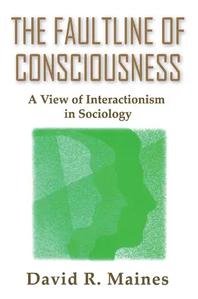 Maines |  The Faultline of Consciousness | Buch |  Sack Fachmedien