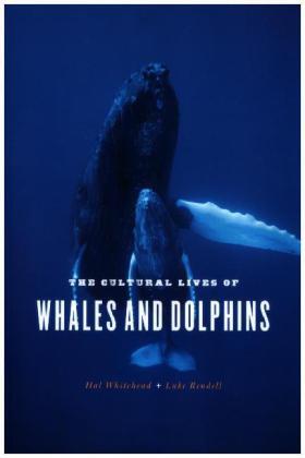 Whitehead / Rendell |  The Cultural Lives of Whales and Dolphins | Buch |  Sack Fachmedien