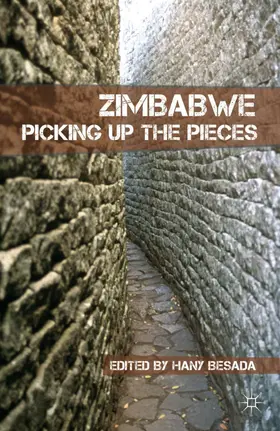 Besada | Zimbabwe | Buch | 978-0-230-11019-9 | www2.sack.de