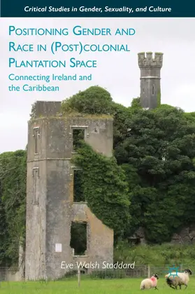 Stoddard |  Positioning Gender and Race in (Post)Colonial Plantation Space | Buch |  Sack Fachmedien