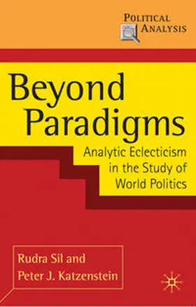 Sil / Katzenstein | Beyond Paradigms | Buch | 978-0-230-20795-0 | www2.sack.de