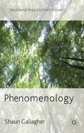 Gallagher |  Phenomenology | Buch |  Sack Fachmedien