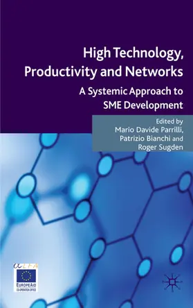 Parrilli / Sugden / Bianchi | High Technology, Productivity and Networks | Buch | 978-0-230-55353-8 | sack.de