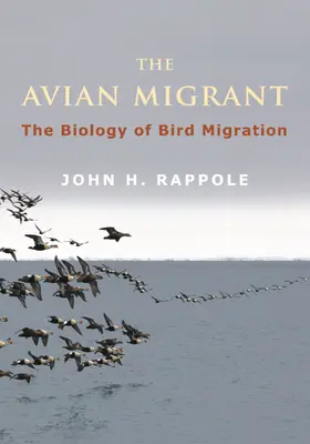 Rappole |  Avian Migrant | Buch |  Sack Fachmedien