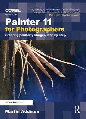 Addison |  Painter 11 for Photographers | Buch |  Sack Fachmedien