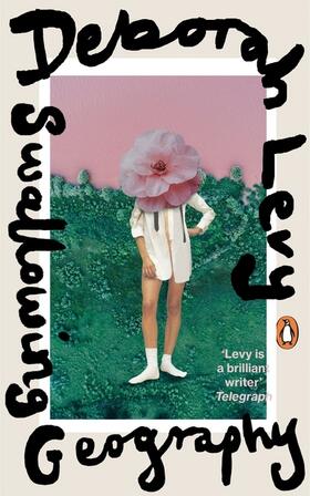 Levy | Swallowing Geography | Buch | 978-0-241-40020-3 | www2.sack.de