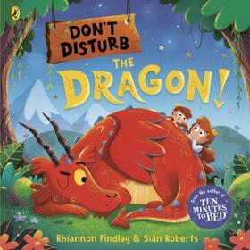 Findlay |  Don't Disturb the Dragon | Buch |  Sack Fachmedien
