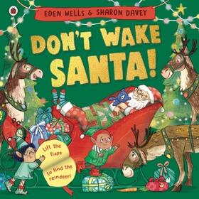 Wells |  Don't Wake Santa | Buch |  Sack Fachmedien