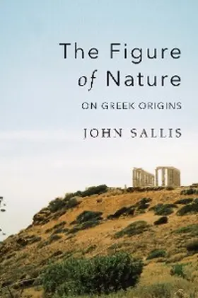 Sallis |  The Figure of Nature | eBook | Sack Fachmedien
