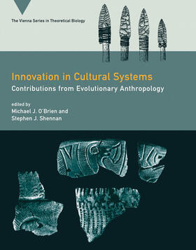  Innovation in Cultural Systems | Buch |  Sack Fachmedien