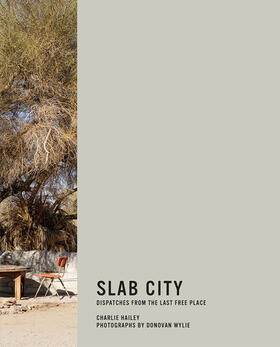 Hailey / Wylie |  Slab City | Buch |  Sack Fachmedien