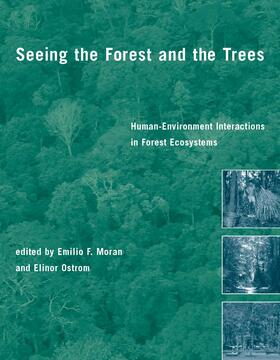  Seeing the Forest and the Trees | Buch |  Sack Fachmedien