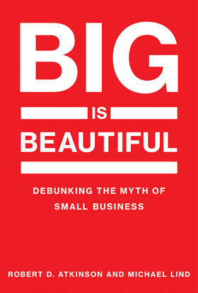 Atkinson / Lind | Big Is Beautiful | Buch | 978-0-262-53710-0 | www2.sack.de