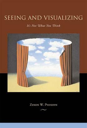  Seeing and Visualizing | Buch |  Sack Fachmedien