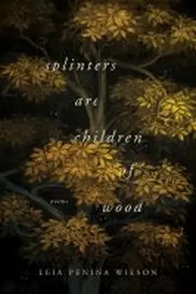 Wilson |  Splinters Are Children of Wood | Buch |  Sack Fachmedien