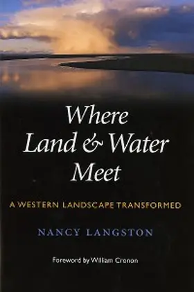 Langston |  Where Land and Water Meet | eBook | Sack Fachmedien