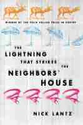 Lantz |  Lightning That Strikes the Neighbors' House | Buch |  Sack Fachmedien
