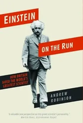 Robinson |  Einstein on the Run | eBook | Sack Fachmedien