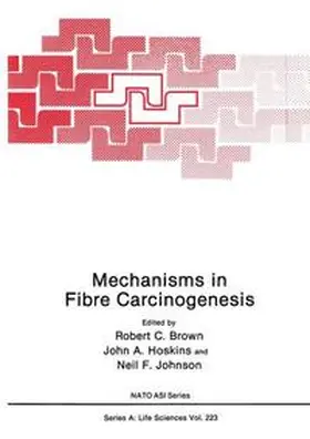 Brown / Hoskins / Johnson |  Mechanisms in Fibre Carcinogenesis | Buch |  Sack Fachmedien