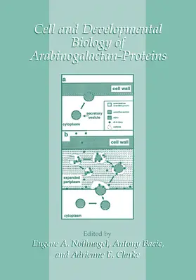 Nothnagel / Bacic / Clarke |  Cell and Developmental Biology of Arabinogalactan-Proteins | Buch |  Sack Fachmedien